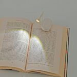 Clip con luz para lectura