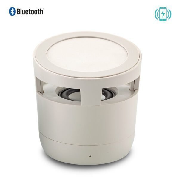 Speaker Bluetooth Wyn 2-1