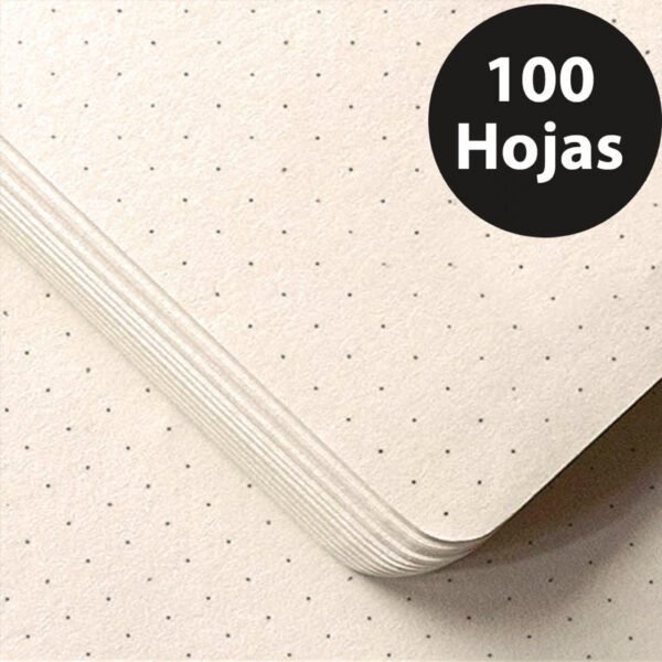 AGENDA DOT CUADRICULA